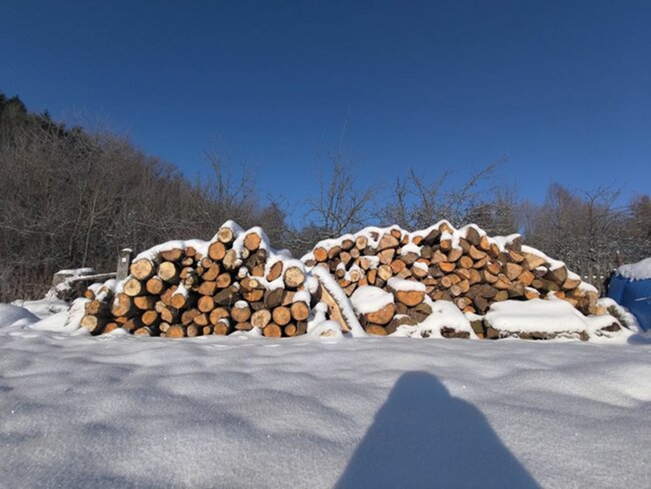 2024 06 19 102513486